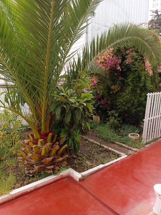 Hotel Paseo Valle Vina del Mar Buitenkant foto
